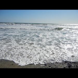 photo courtesy Carrie Keohane