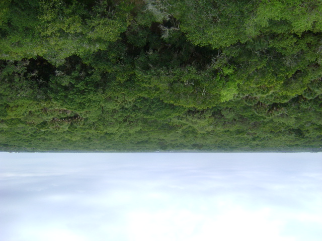 to April 21, 2013 Myakka 117